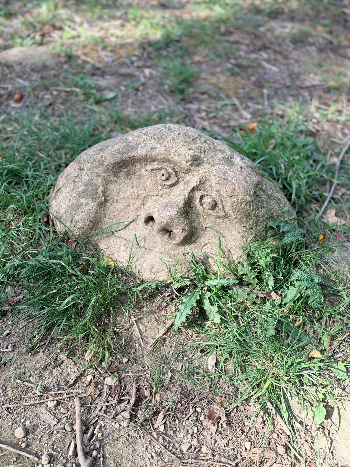Funny stone face found during a walk